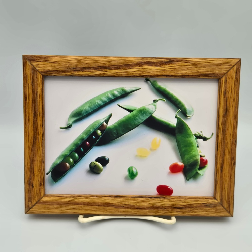 Vintage Incredible Edibles Framed Jelly Bean Pea Pod Art Print Edward Pardee